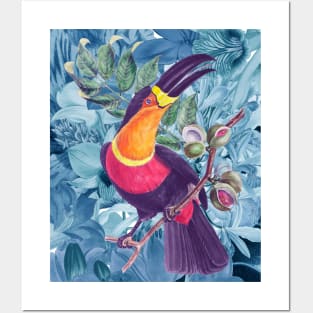 Toucan Art Prints Posters and Art